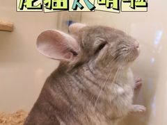 -龙猫仔乐园(惠福东路店)