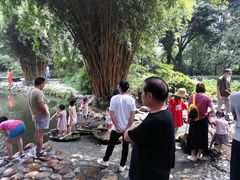-成都市活水公园