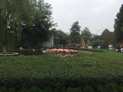 -石家庄市动物园