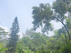 -广州市白云山风景名胜区