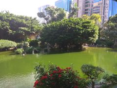 -九龙公园
