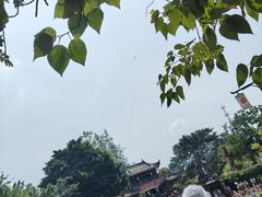 -黄龙溪古镇