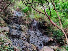 -梧桐山风景名胜区