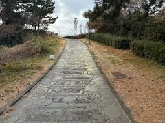 -柱状节理带