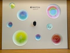 -Apple零售店(苏州店)
