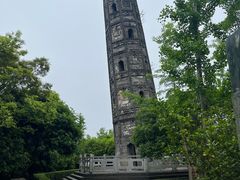 -上海佘山国家森林公园天马山园