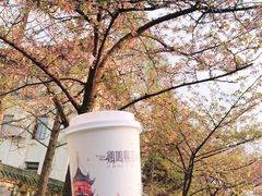 -鸡鸣赐茶(鸡鸣寺路店)