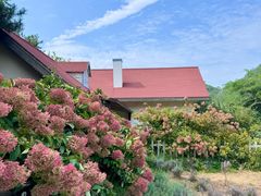 -云峰山自然风景区