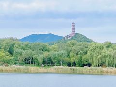 -北坞公园