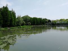 -长广溪湿地公园