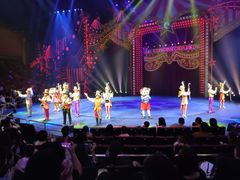 -珠海横琴长隆《卡卡虎奇遇记》