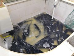 -魏铭鱼头捞饭(晋阳路店)