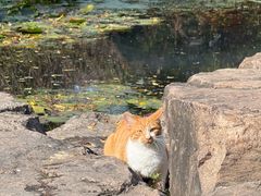 -九华山风景区月身宝殿