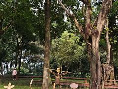 -云溪植物园