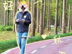 -黄海国家森林公园