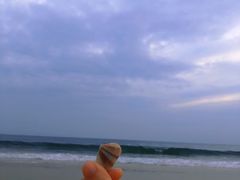 -三亚海棠湾万丽度假酒店