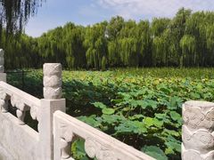 -东升八家郊野公园