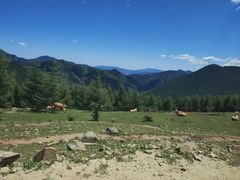 -五台山风景名胜区