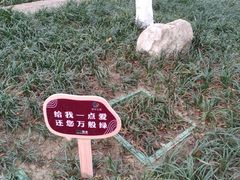 -成都市活水公园