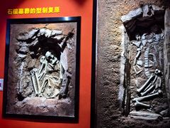 -迪庆藏族自治州博物馆