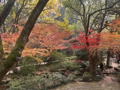 -中国茶叶博物馆(双峰馆区)