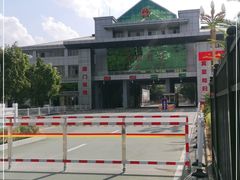 -打洛口岸