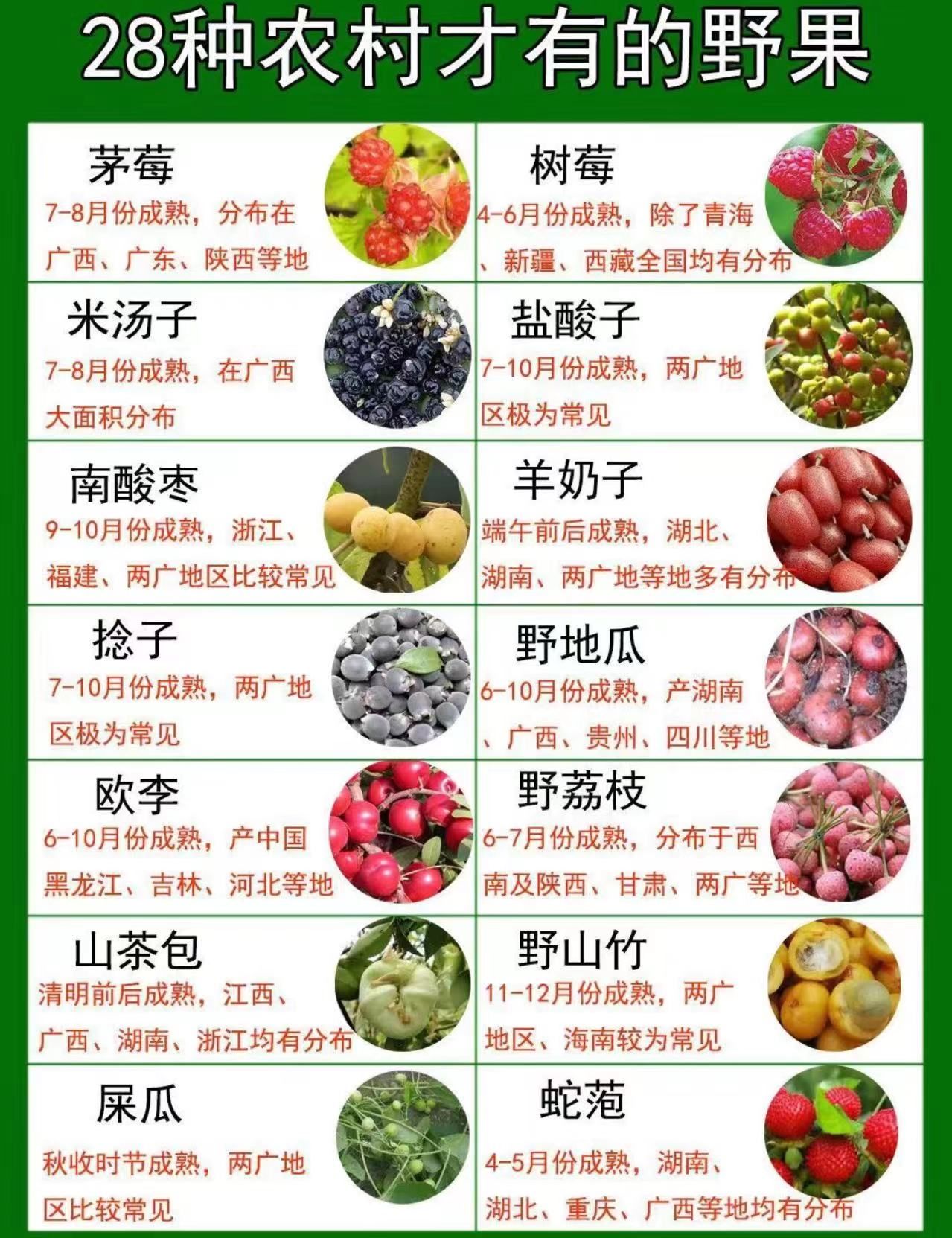 只有农村才能摘到的野果!你们吃过几个