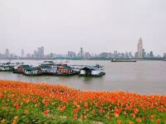 -武昌江滩