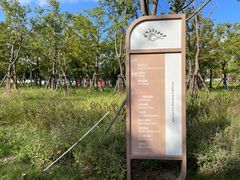 -上海滨江森林公园