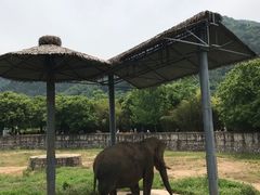 -西安秦岭野生动物园