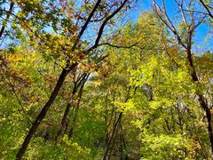 -北京鹫峰国家森林公园