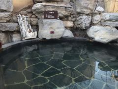 -仁爱团泊湖温泉中心