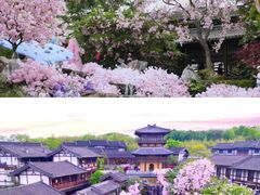 -茅山东方盐湖城景区