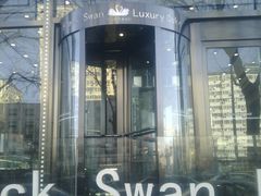 -BLACKSWAN黑天鹅(环球店)