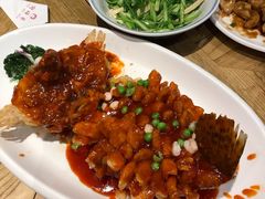 -新梅华(太仓万达店)