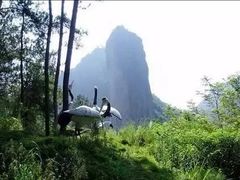 -平湖九龙山旅游度假区