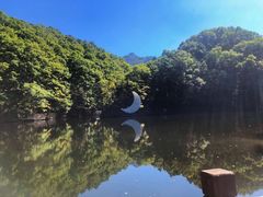 -洛阳白云山景区