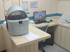 -虹泰宠物医院 ·旗舰店·24h(南秀路店)