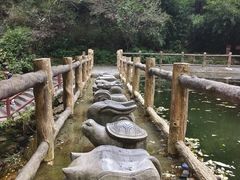 -王顺山国家森林公园