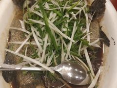 清蒸龙胆鱼-天福海鲜酒楼·闽菜海鲜·宴请聚会(五四路店)