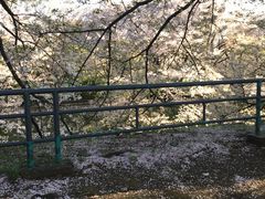 -名古屋城