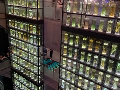 -广东中医药博物馆