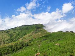 -驼梁风景区