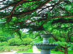 -国家植物园南园