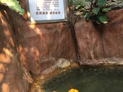 -泉眼温泉