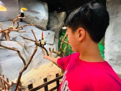 -Zoolung Zoolung动物主题公园(海信广场店)