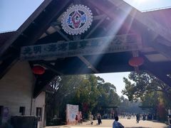 -上海海湾国家森林公园