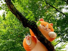 -西安电影制片厂