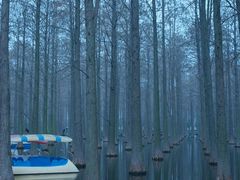 -渌洋湖湿地公园