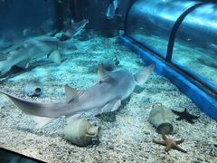 -福州罗源湾海洋世界旅游区